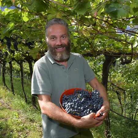 Vallarom Alloggio per agriturismo Avio
